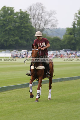 Polo Sport England Photo165