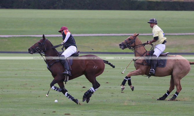 Polo Sport England Photo598