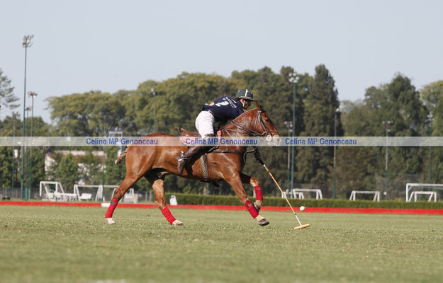 Polo Sport Argentina Photo535