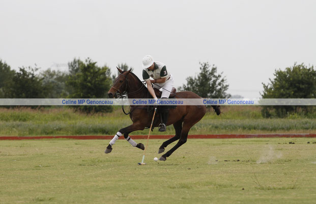 Polo Sport Argentina Photo413