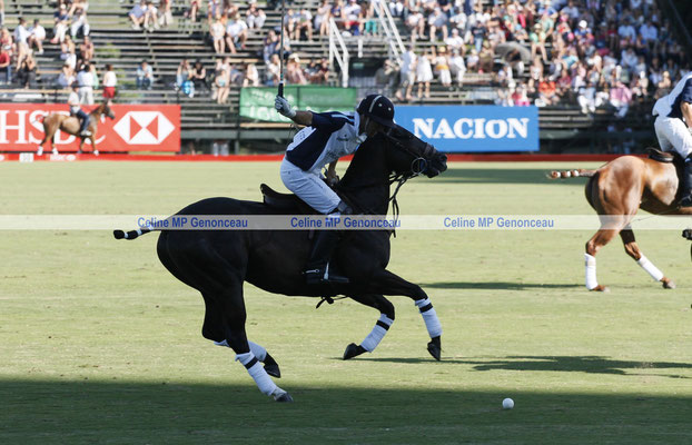 Polo Sport Argentina Photo138
