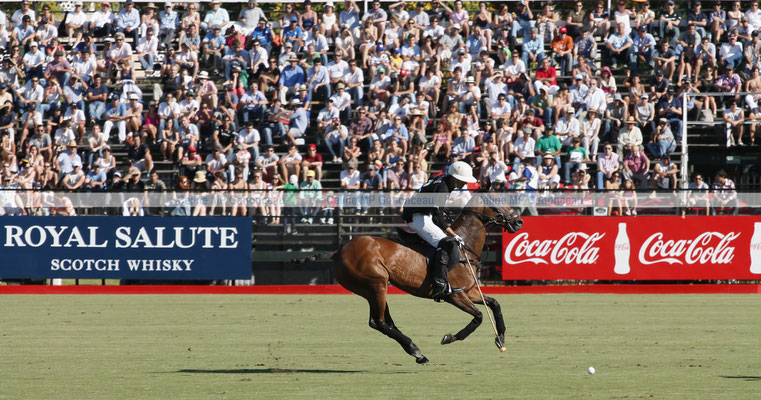 Polo Sport Argentina Photo229