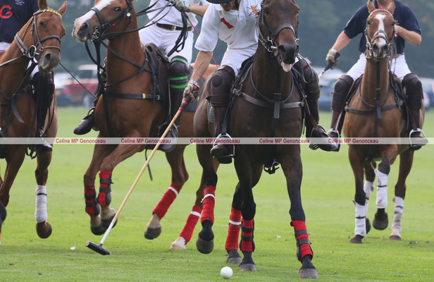 Polo Sport England Photo425