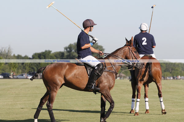 Polo Sport Argentina Photo274