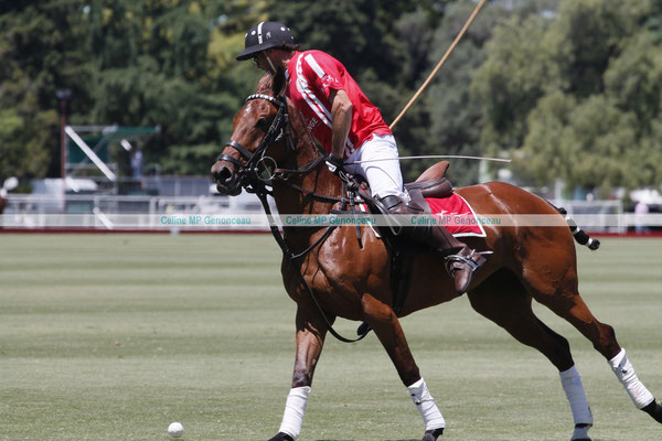 Polo Sport Argentina Photo185