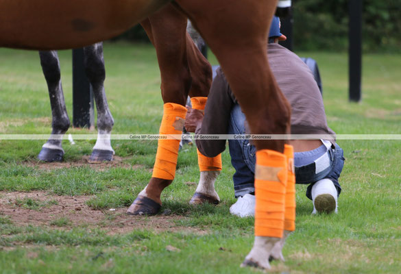 Polo Sport England Photo498