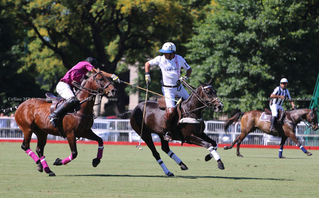 Polo Sport Argentina Photo21