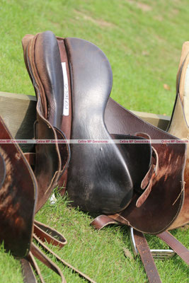 Polo Sport England Photo340