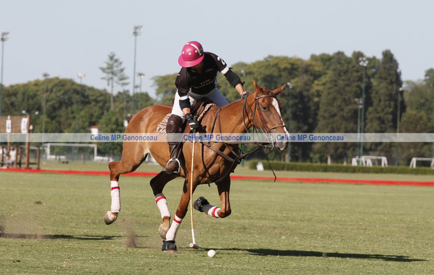 Polo Sport Argentina Photo542
