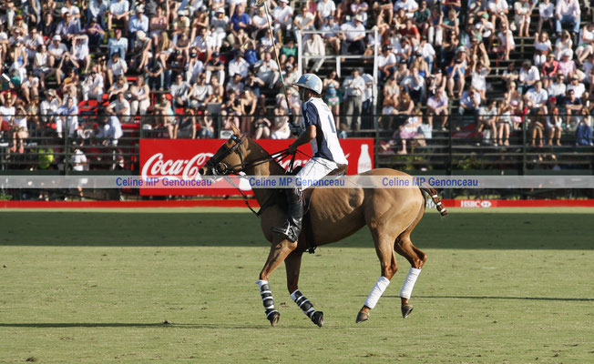 Polo Sport Argentina Photo145