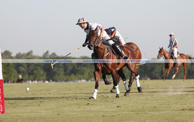 Polo Sport Argentina Photo293