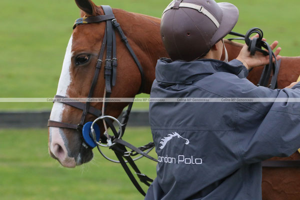 Polo Sport England Photo606