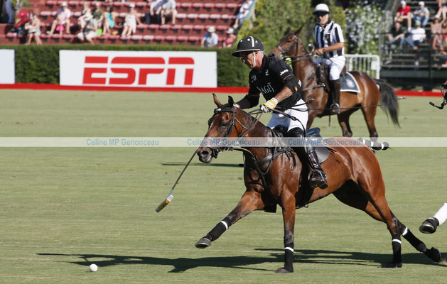 Polo Sport Argentina Photo215