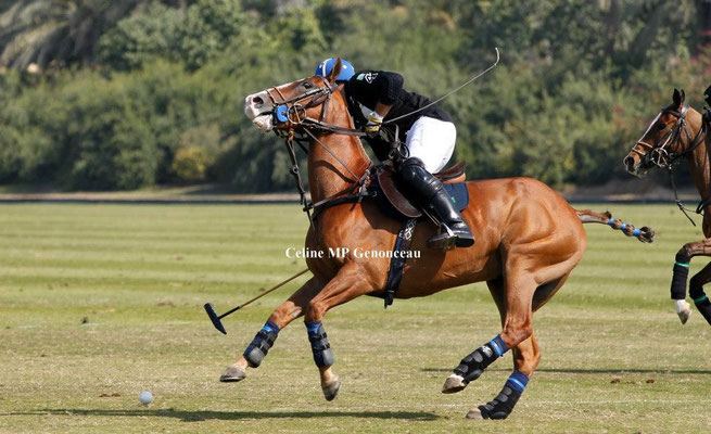 Polo Sport Dubai Photo43