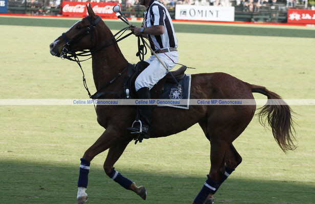 Polo Sport Argentina Photo153