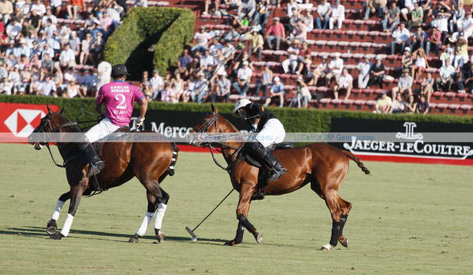 Polo Sport Argentina Photo243