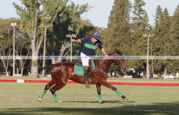 Polo Sport Argentina Photo522
