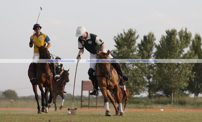 Polo Sport Argentina Photo391