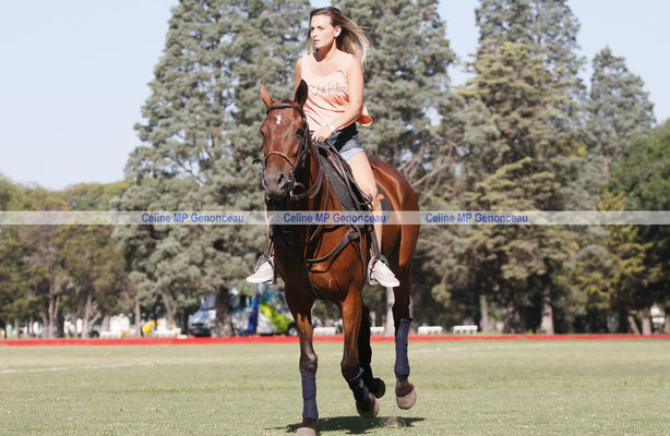Polo Sport Argentina Photo493