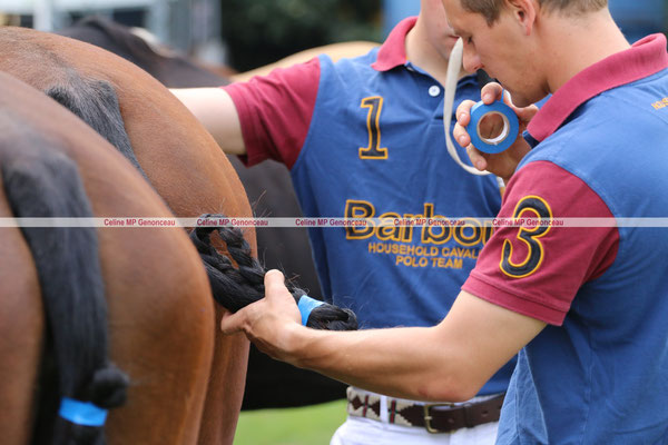 Polo Sport England Photo359