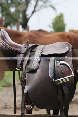 Polo Sport Argentina Photo406
