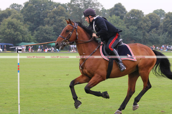 Polo Sport England Photo323