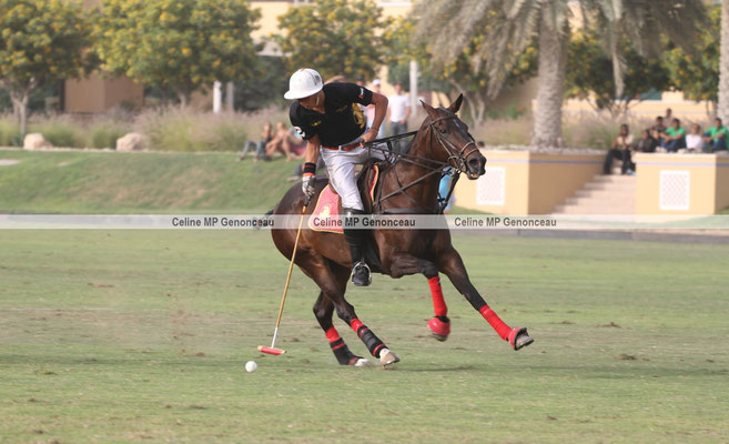 Polo Sport Dubai Photo167