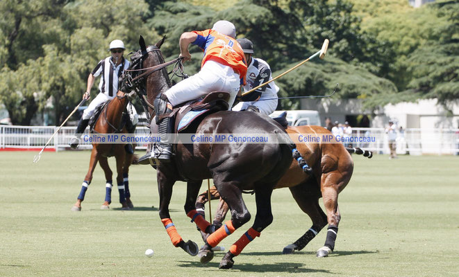 Polo Sport Argentina Photo100