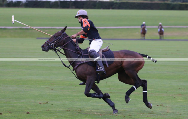Polo Sport England Photo594
