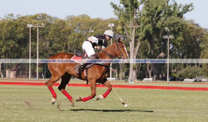 Polo Sport Argentina Photo485
