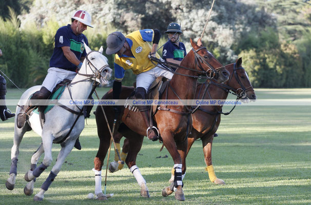 Polo Sport Argentina Photo477