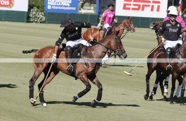 Polo Sport Argentina Photo217