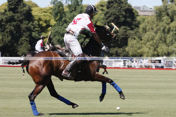 Polo Sport Argentina Photo111