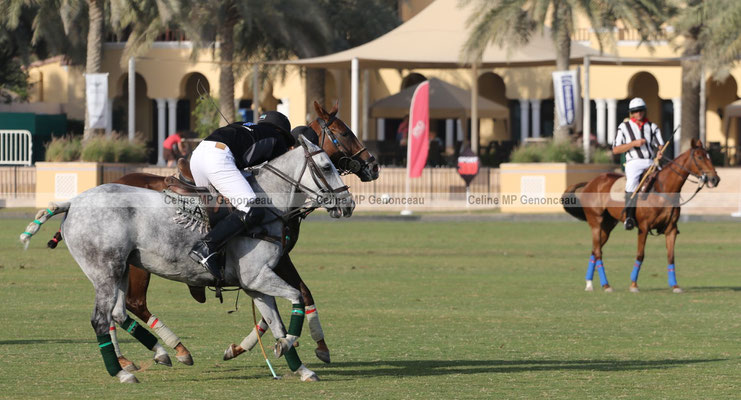 Polo Sport Dubai Photo224