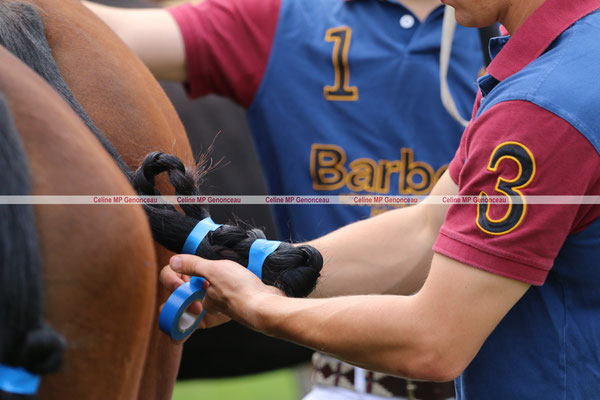 Polo Sport England Photo360