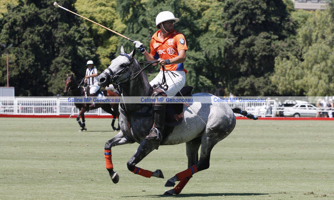 Polo Sport Argentina Photo112