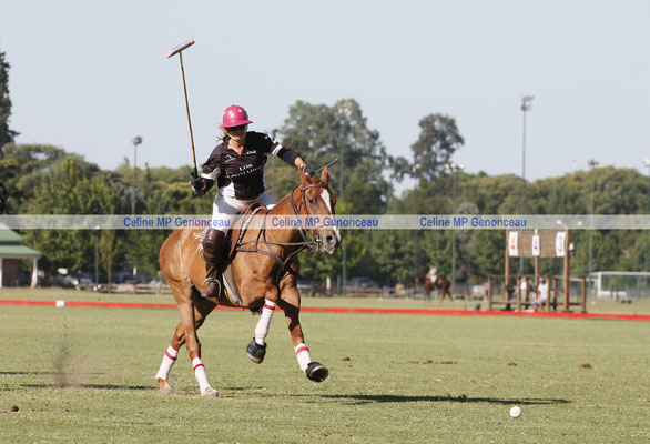 Polo Sport Argentina Photo540