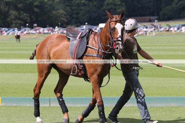 Polo Sport England Photo102