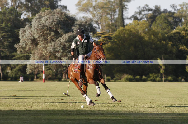 Polo Sport Argentina Photo569