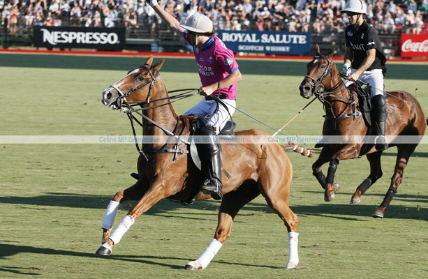 Polo Sport Argentina Photo248