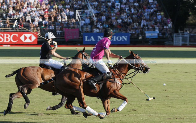 Polo Sport Argentina Photo252
