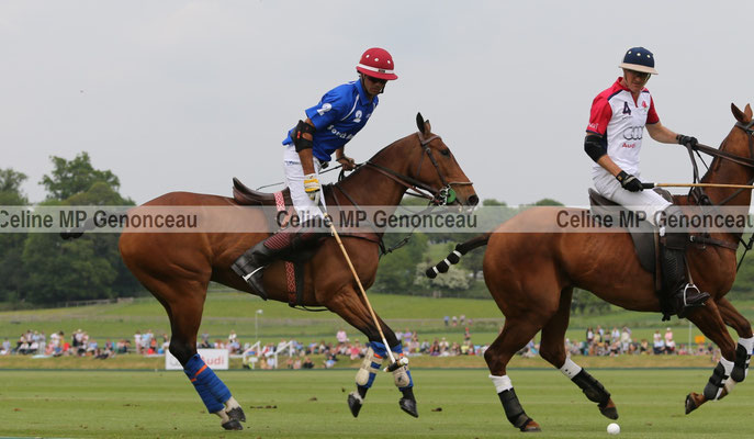 Polo Sport England Photo164