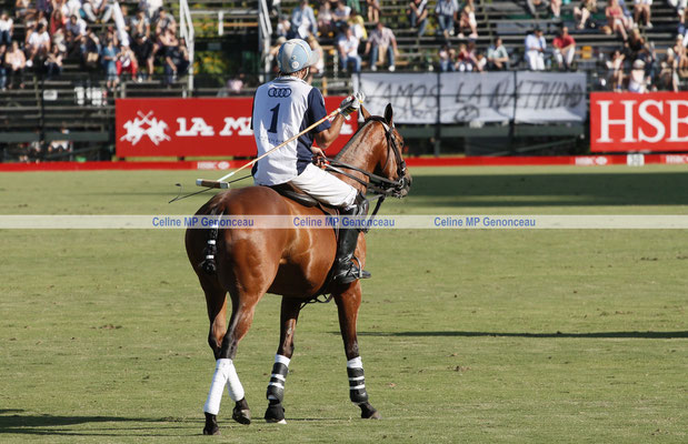 Polo Sport Argentina Photo140