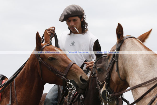 Polo Sport Argentina Photo430