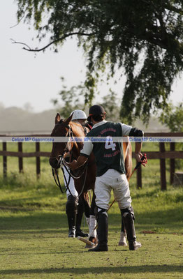 Polo Sport Argentina Photo373