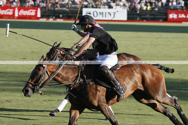 Polo Sport Argentina Photo250
