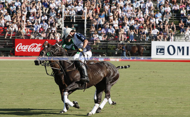 Polo Sport Argentina Photo141