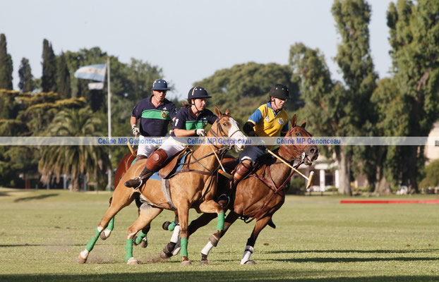 Polo Sport Argentina Photo520