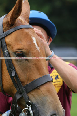 Polo Sport England Photo251