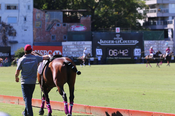 Polo Sport Argentina Photo4